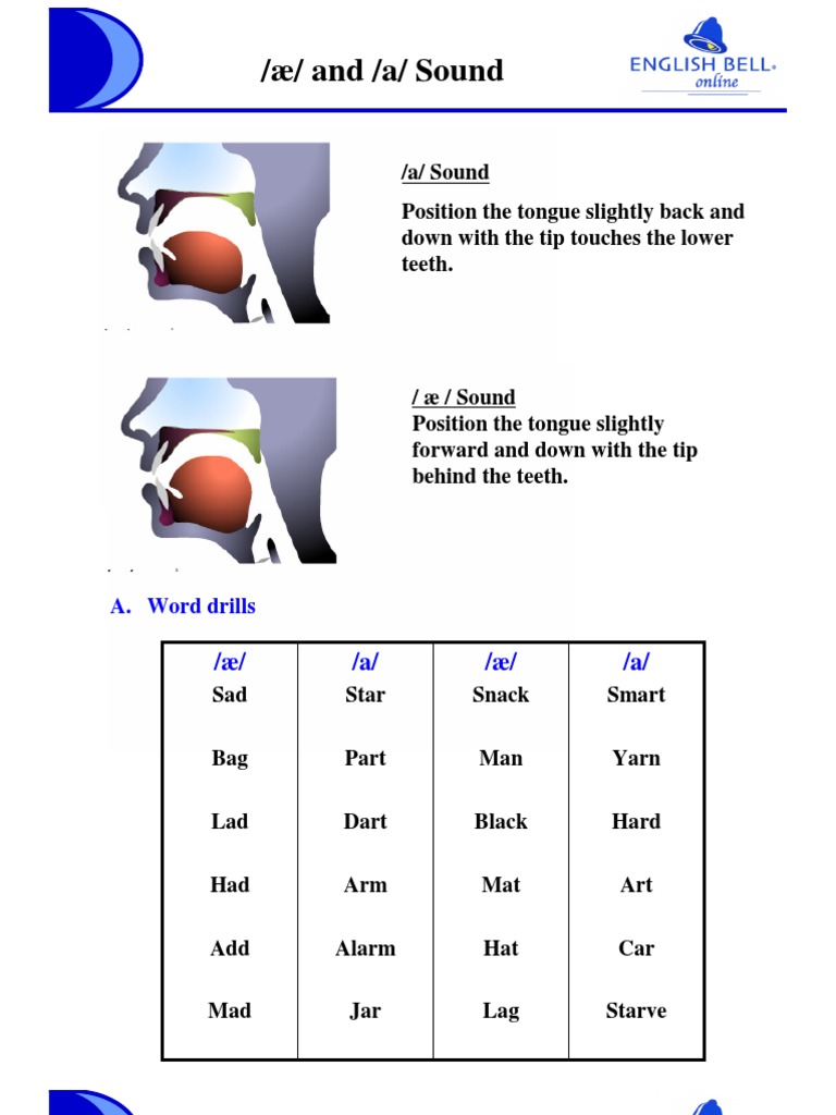 Understanding /æ/ and /a/ Sounds | PDF