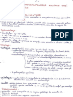 S-28-instincte.pdf