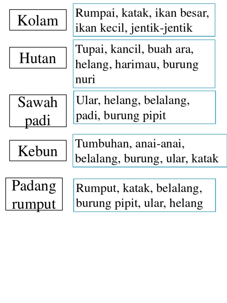 Rantai Makanan 1