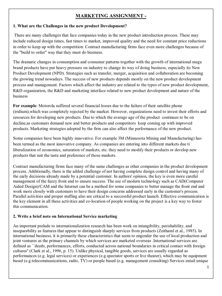 Marketing Assignment2 | PDF