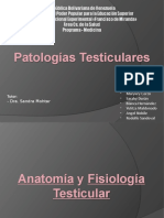 Patologias Testiculares