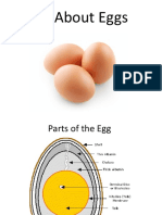 Everything About Eggs in 38 Characters