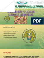 Microbiologia y Plagas en Cereales..pptx