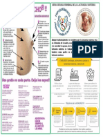 Volante 2019 SMLM Van 2 Caras