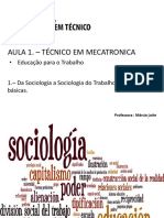 Aula 1 - Da Sociologia a Sociologia Do Trabalho - Definições