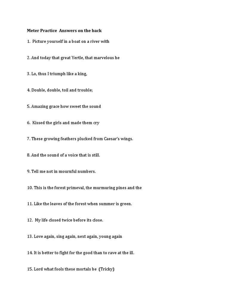 Meter Practice | PDF