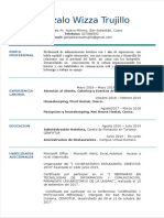 Curriculum Vitae