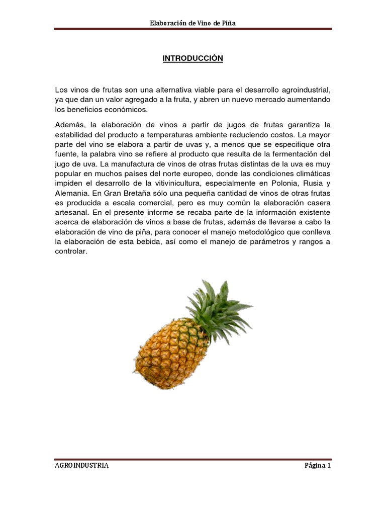 Vino de Pina | PDF | Vino | Levadura