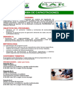 Flayer Programa Capacitaciones