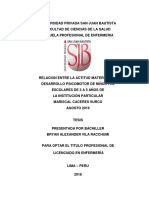T-TPLE- Bryan Alexander  Vila Racchumi (2).pdf