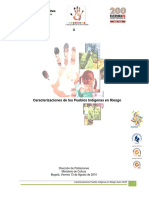 Compilado de Caracterizaciones Pueblos en Riesgo.pdf