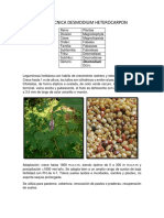 Ficha técnica de Desmodium heterocarpon