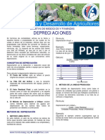 EDA_Hab_Neg_Depreciaciones_06_07.pdf