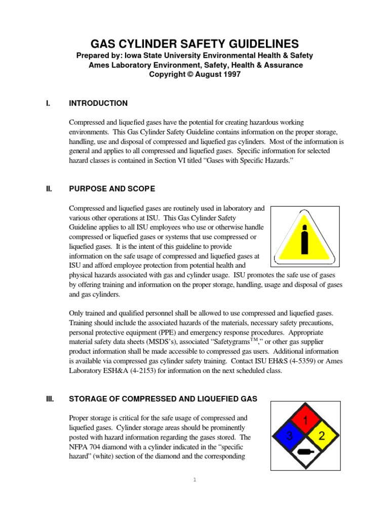 Medical Gases (Cylinder Safety Guidelines) Usa PDF