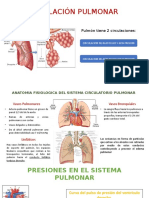 Circulacion Pulmonar