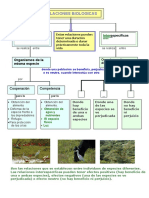 Relaciones Biologicas