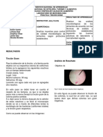 Segundo Trimestre Microbiología II