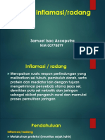 Proses Inflamasi SP 