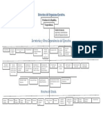 Estructura Del Organismo Ejecutivo