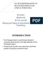 Prevalence of Endoparasite in Chyangra in Khasibazaar (Kalanki & Tokocha)