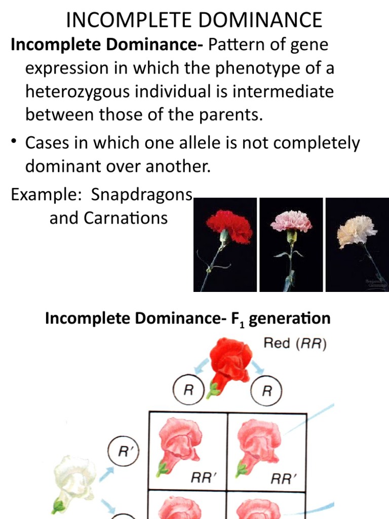 Incomplete Dominance Pattern of Gene PDF