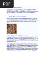 Download Encyclopedia of India by vaibhav SN417712 doc pdf