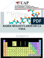 Bases de La VIDA EAP UAP (Autoguardado)