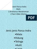 Sistem Panca Indra