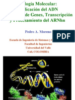 ReplicacionTranscripcionClase3