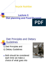 GIS1012 Lifecycle Nutrition: Diet Planning and Food Pyramid