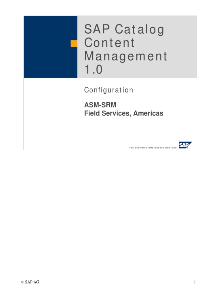 SAP Catalog Content Management 1.0: Configuration | PDF | Oracle ...