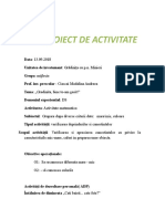 Proiect Didactic