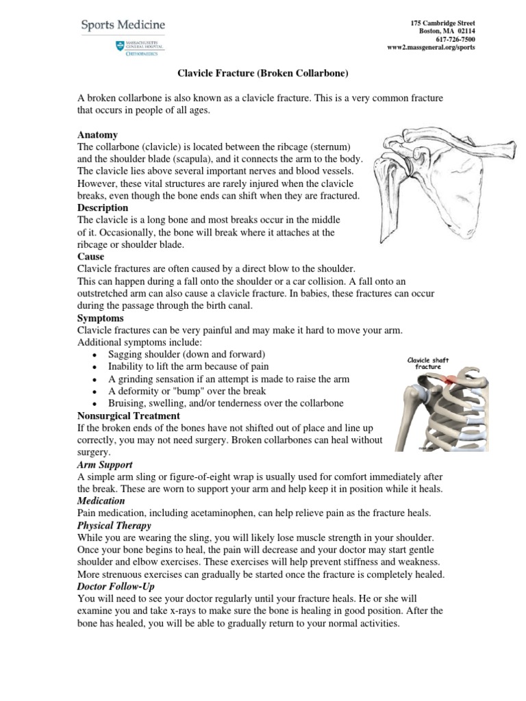 Clavicle Fracture Protocol After Surgical Repair PDF | PDF | Anatomical ...