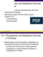 19.1 Phylogenetic and Metabolic Diversity of Archaea