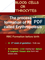 Erytropoiesis 