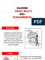 Anatomi Rongga Mulut
