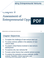 CHP 6 Assessment of Entrepreneurial Opportunities