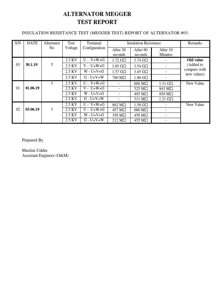 Alternator Megger Test Report