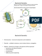 Bacterial Genetics: - Chromosome (Nucleoid) and Plasmids Are The Source of Genotypes