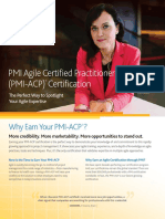 Agile Expertise PDF