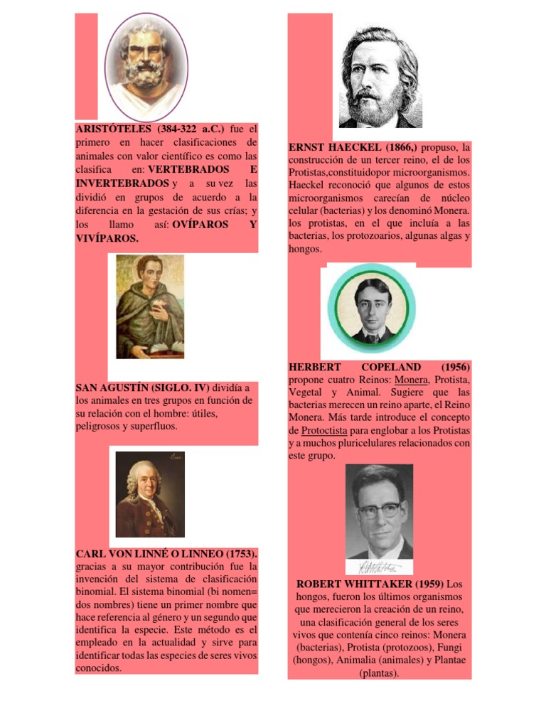 Linea Tiempo | PDF | Organismos | Ciencias de la vida