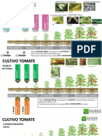 Equema Control Tomate