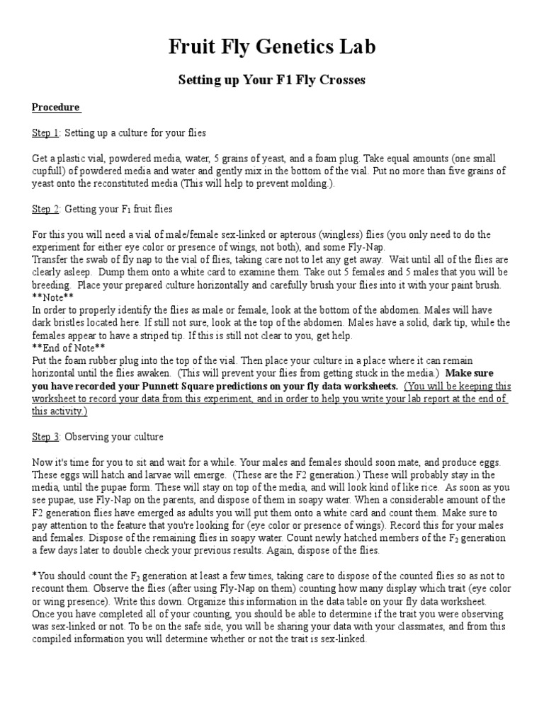Fruit Flies Lab Activity PDF Fly Drosophila Melanogaster