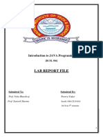 Lab Report File: Introduction To JAVA Programing