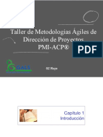 Curso Pmi Acp Cap1 2019