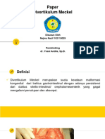 Paper Divertikulum Meckel: Disusun Oleh Najma Nazif 102118029