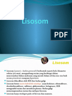 LISOSOM 1.pptx