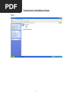 TeamViewer Install