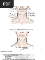 NECK Anatomyzkk