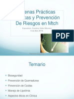 Taller Buenas Prácticas y Prevención de Riesgos PDF